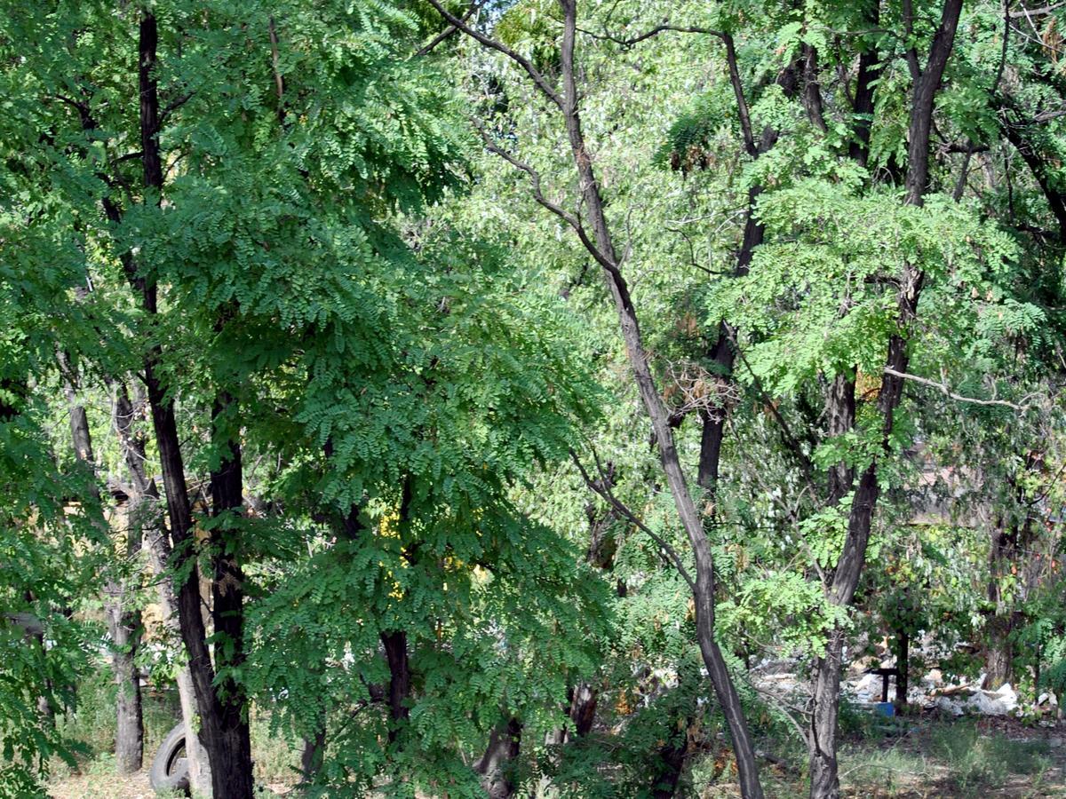 Hostel Darnitsa1 Κίεβο Εξωτερικό φωτογραφία